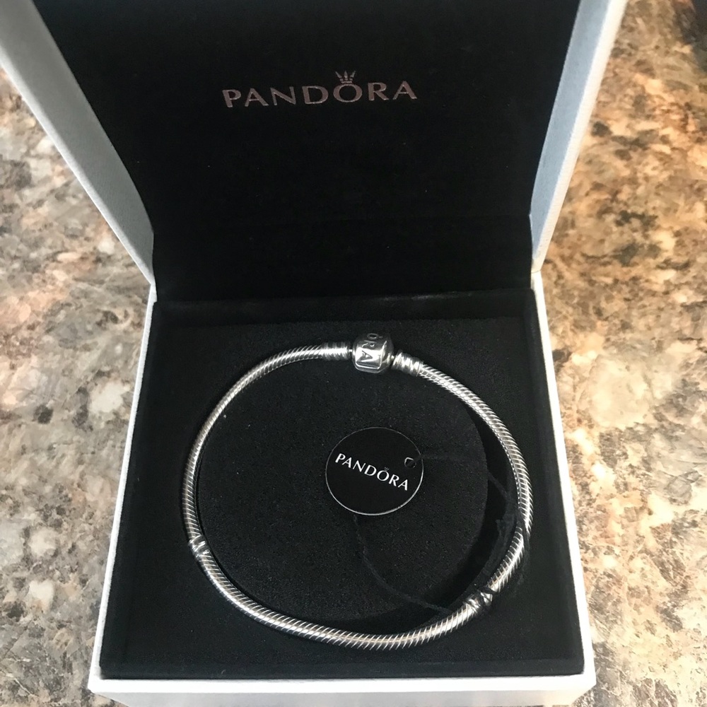 New Pandora Bracelet
